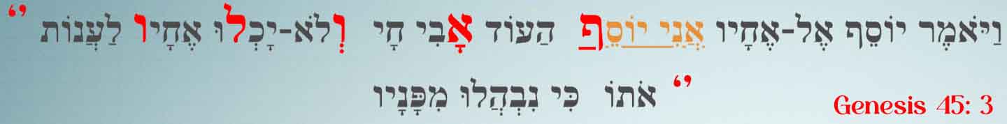 Deepak sankara veda,Artesao da luz